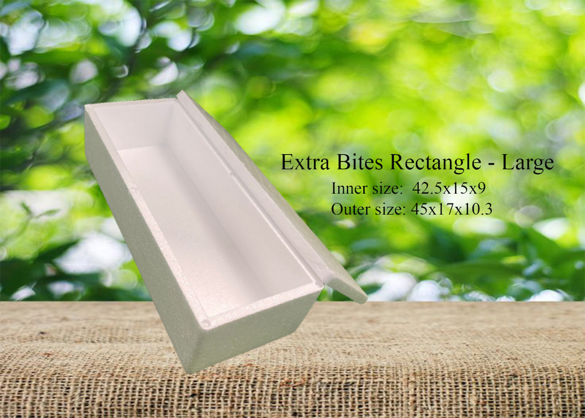 Extra Bites Rectangle Box
